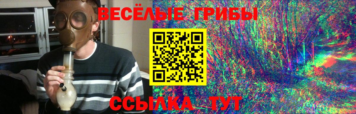 Галлюциногенные грибы ЛСД Котлас